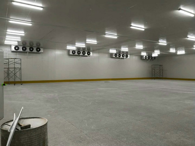 建造100平方冷凍庫(kù)需要多少錢(qián)？